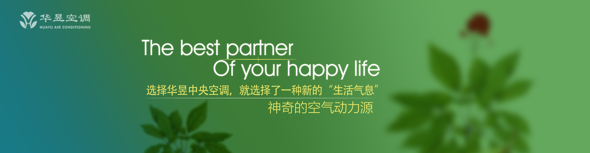 百计千心网